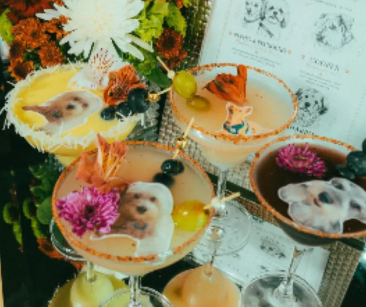 Cocteles con foto de mascota